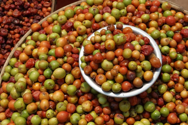 Marula Owoców Malawi — Zdjęcie stockowe