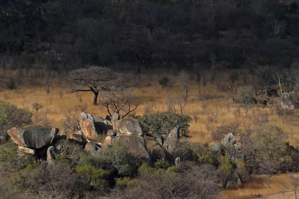 Paisagem Parque Nacional Matopo Zimbábue — Fotografia de Stock