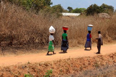 Afrika, 24 mal taşıyan kadınlar. Eylül 2012