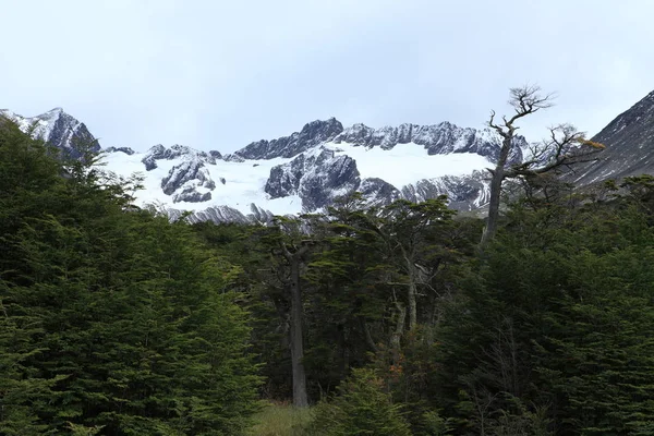 Národní Park Tierra Del Fuego Argentině — Stock fotografie