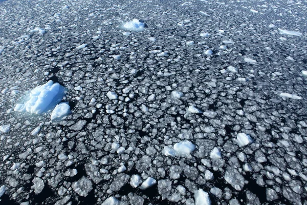 Antarktika Okyanus Üstünde Buz — Stok fotoğraf