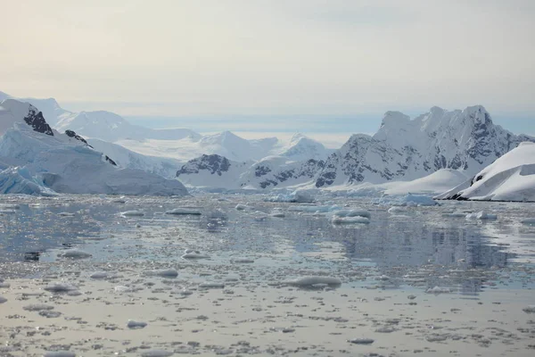 Paysage Glace Glaciers Antarctique — Photo