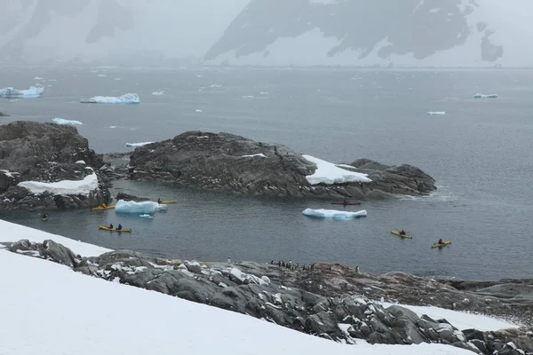 Landscape Ice Glaciers Antarctica — Stock Photo, Image