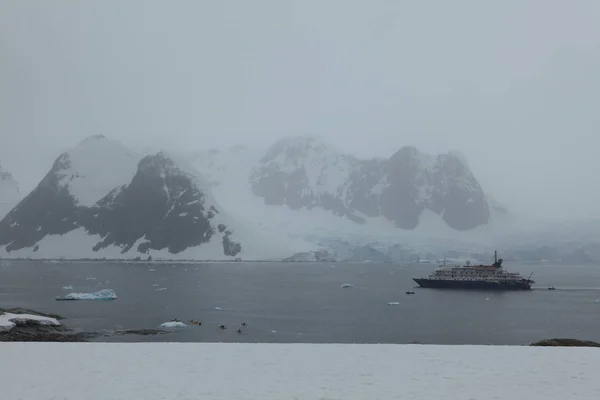 Kreuzfahrtschiff Antarktischen Ozean — Stockfoto
