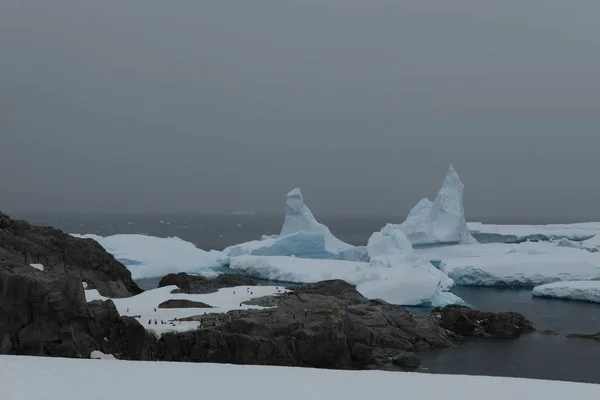 Paisaje Hielo Glaciares Antártida — Foto de Stock