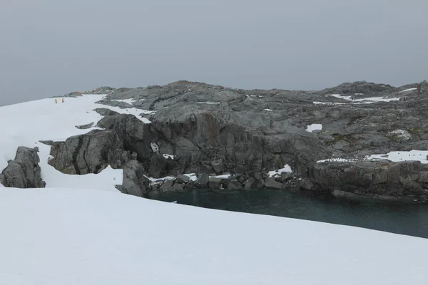 Paisaje Hielo Glaciares Antártida —  Fotos de Stock