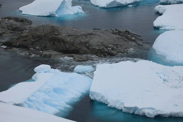 Liggande Och Glaciärer Antarktis — Stockfoto