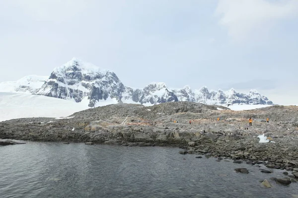 Eis Und Gletscher Der Antarktis — Stockfoto