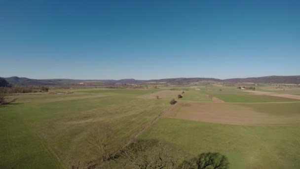 Oude Eik Landschap Duitsland — Stockvideo