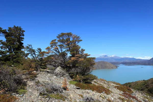 Táj Patagonia — Stock Fotó