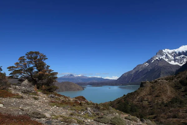 Paisaje Patagonia — Foto de Stock