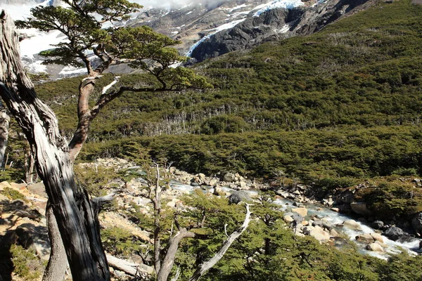 パタゴニアの風景 — ストック写真