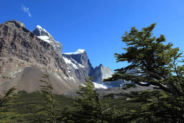 巴塔哥尼亚的风景 — 图库照片