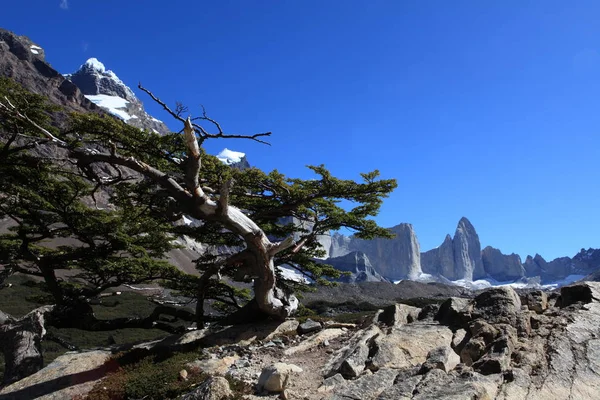 Landskapet Patagonien — Stockfoto