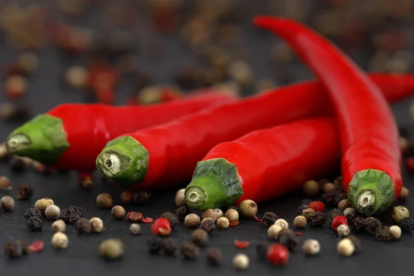 Chili Paprika — Stockfoto