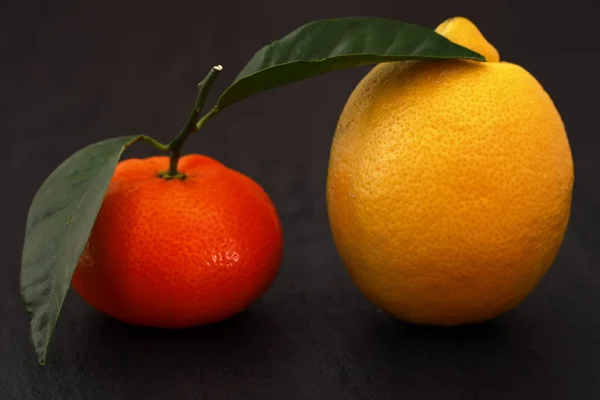 Лимоны Мандарины — стоковое фото