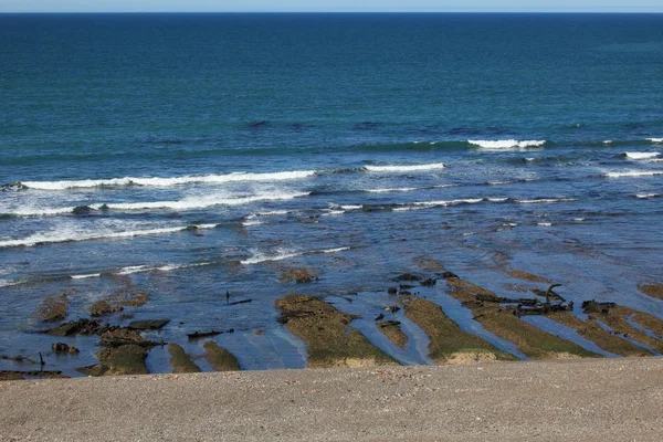 Landschap Natuur Van Het Valdes Schiereiland Argentinië — Stockfoto