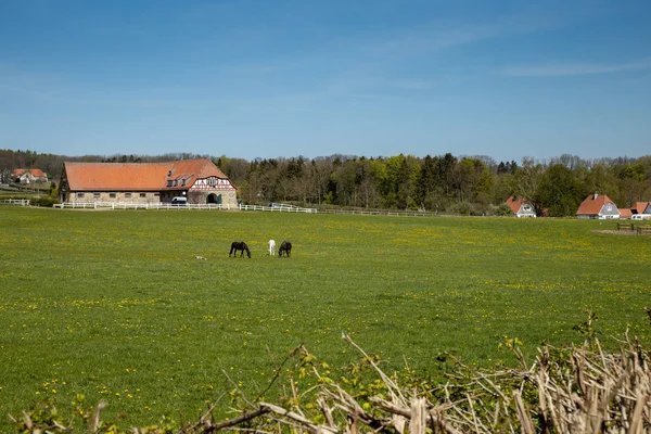 Der Pferdehof Altefeld Deutschland — Stockfoto