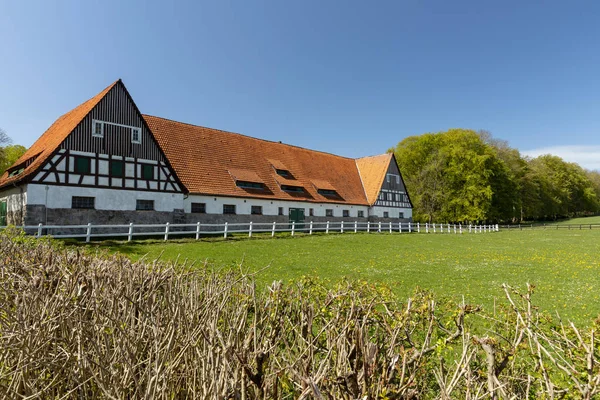 Paardenboerderij Van Altefeld Duitsland — Stockfoto