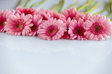 Tebrik kartı için Pembe Gerbera