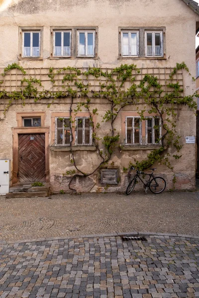 Maison Ancienne Avec Vigne Sur Façade — Photo