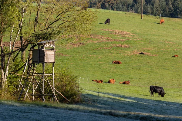 Asiento Alto Campo Tiro Para Caza — Foto de Stock