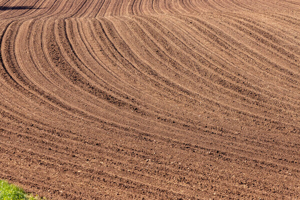 Grain fields and sowing in spring