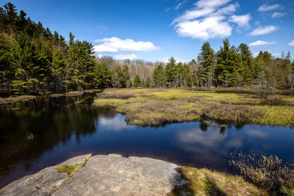 Lago Campo Naturaleza Salvaje Canadá —  Fotos de Stock