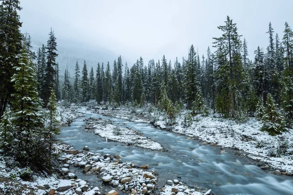 Горный Поток Зимой Канаде — стоковое фото