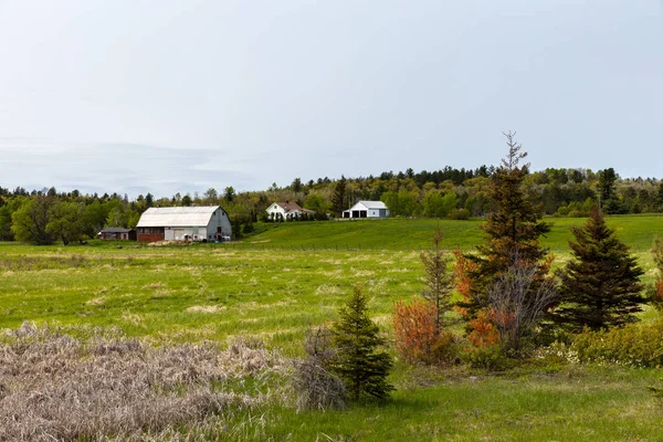 Gård Landet Kanada — Stockfoto