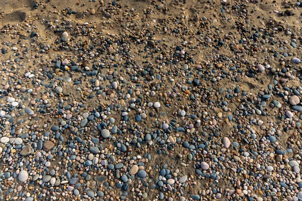 Oblázky Pláži — Stock fotografie