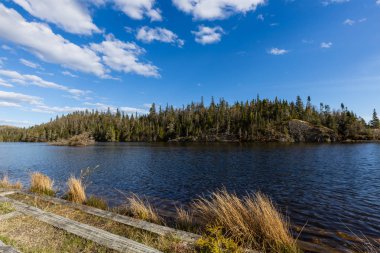 Kanada'da ulusal park Pukaskwa Peyzaj