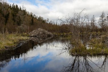 Kanada'da Pukaskwa Milli Parkı Peyzaj