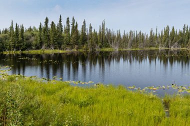 Deniz ve manzara Yukon Kanada 'da