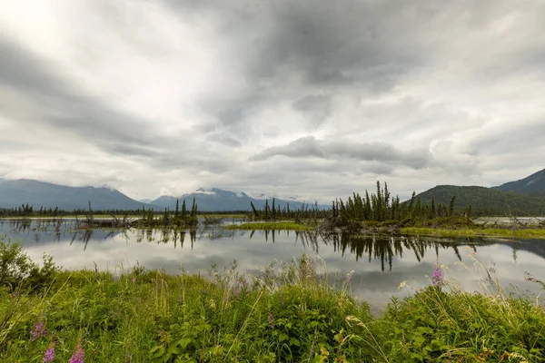 Mar Paisagem Yukon Canadá — Fotografia de Stock