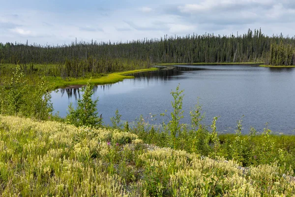 Mar Paisaje Yukón Canadá — Foto de Stock