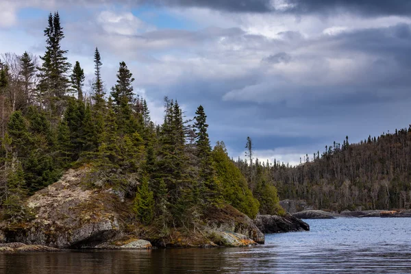 Kanada Kayalar Üzerinde Orman Ağaçlar — Stok fotoğraf