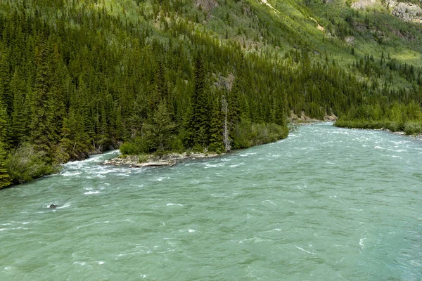 Liard River Krajina Podél Aljašské Dálnice — Stock fotografie
