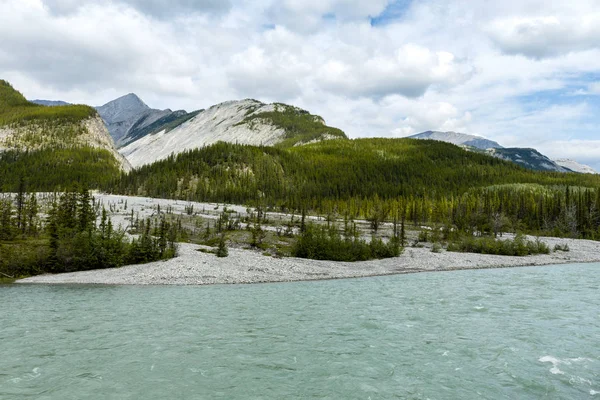 Liard River Krajina Podél Aljašské Dálnice — Stock fotografie