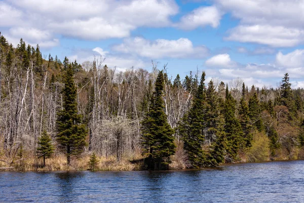 カナダのプスカスワ国立公園の湖と風景 — ストック写真