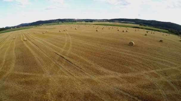 Stoppelfeld Mit Strohballen Nach Der Ernte — Stockvideo