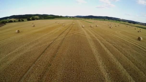 Campo Restolho Com Fardo Palha Após Colheita — Vídeo de Stock