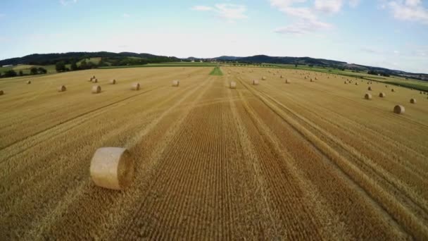 Tarló Mező Szalmabálával Betakarítás Után — Stock videók