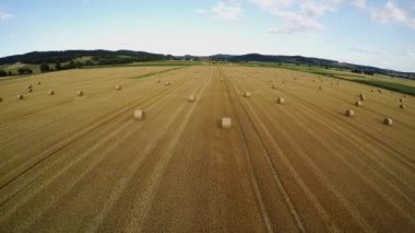 hasat tan sonra saman balyası ile sakal alanı