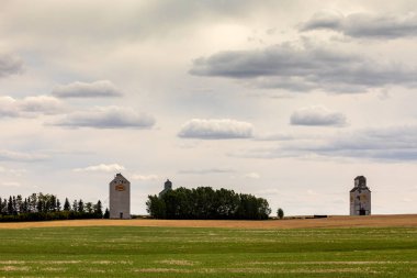 Kanada alanında tarım siloları