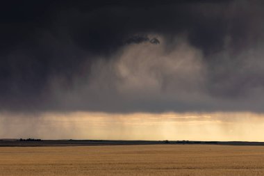 Kanada Bozkırı'nda yaz