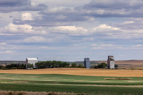 Silos Agricoli Nel Settore Del Canada — Foto Stock