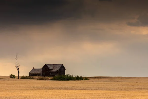 Granja Abandonada Pradera Canadá — Foto de Stock