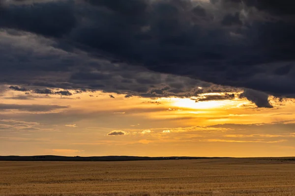 Sommar Prärien Kanada — Stockfoto