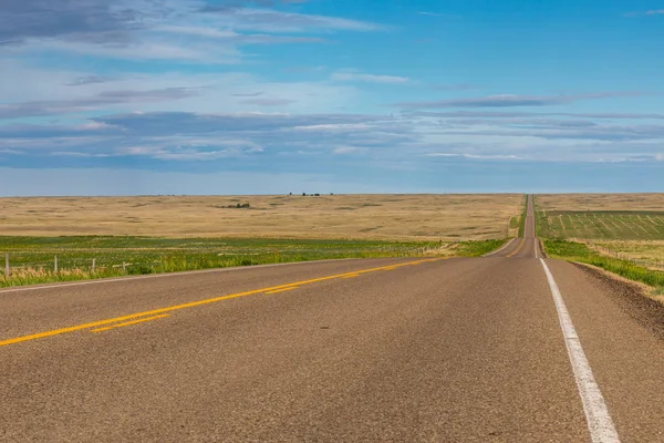 Route Campagne Dans Prairie Canada — Photo